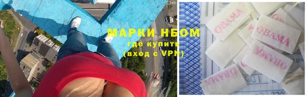 стаф Богданович