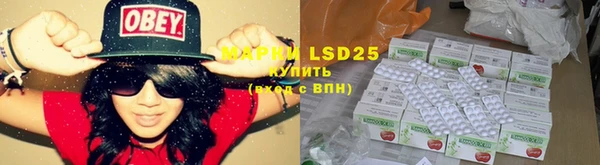 стаф Богданович