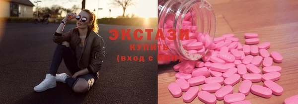 стаф Богданович