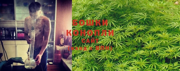 стаф Богданович