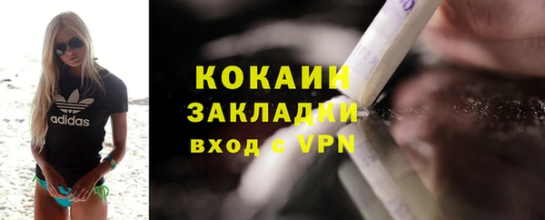 стаф Богданович