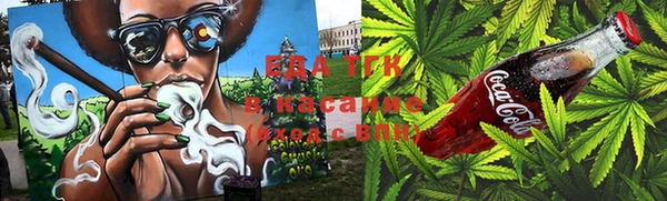 стаф Богданович