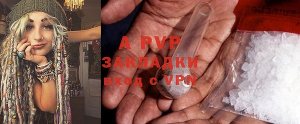 ECSTASY Горняк