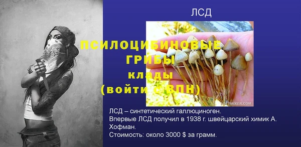 винт Бронницы